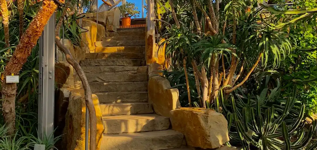 Stone staircase framed by tall, sculptural succulents and lush greenery in a sunlit courtyard garden.