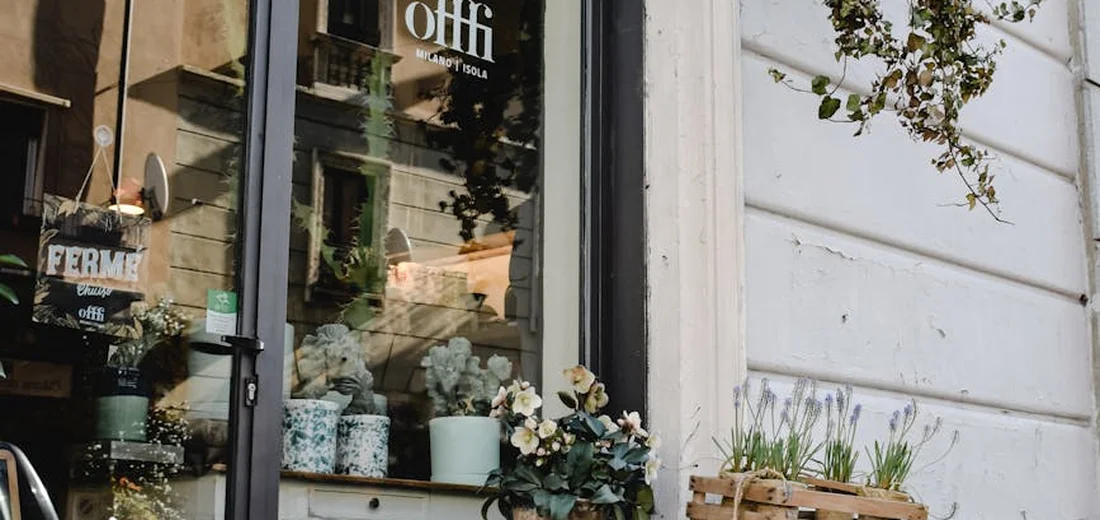 Display of succulents in pots arranged outside a storefront window