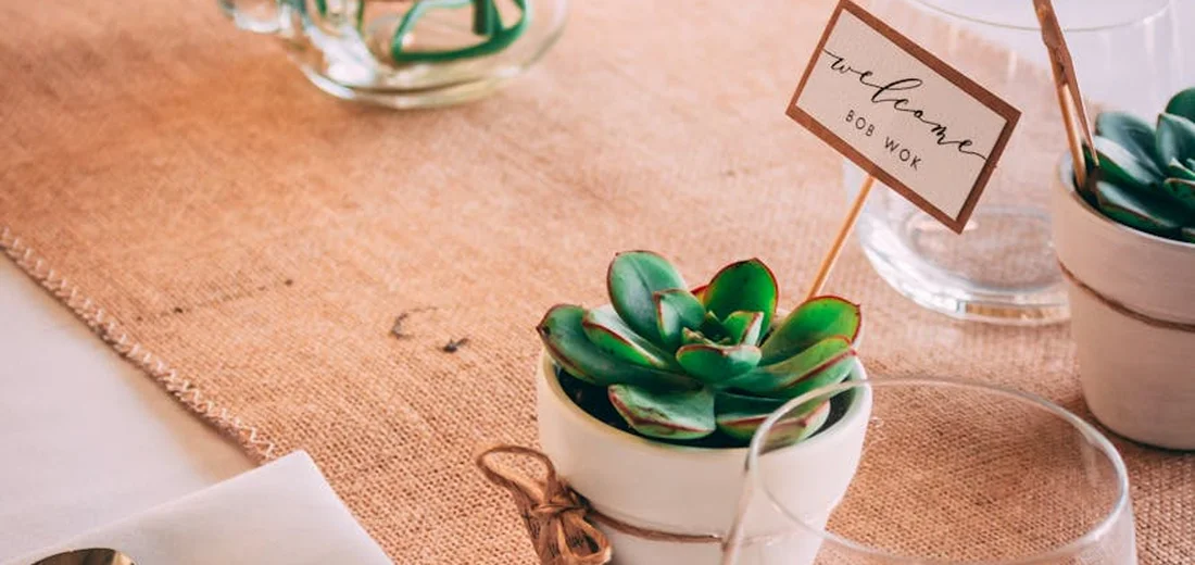 Small white ceramic pot with a lush green succulent on a burlap table, with a care tag and blurred background of additional plants.