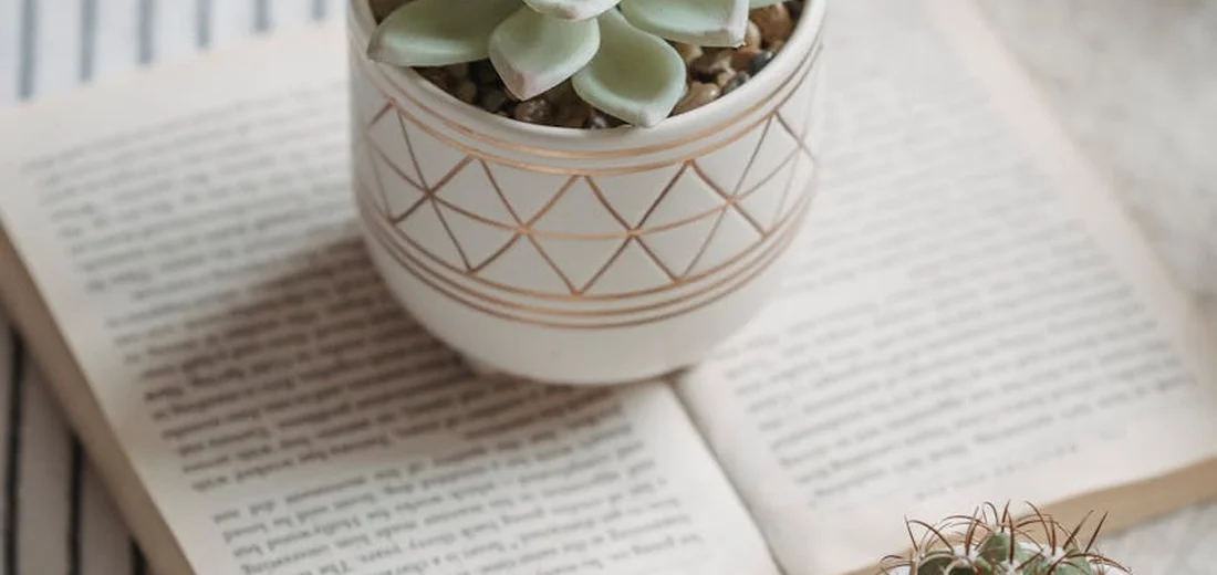 A small succulent in a geometric-pattern ceramic pot placed on an open book, illustrating container choice for drainage.