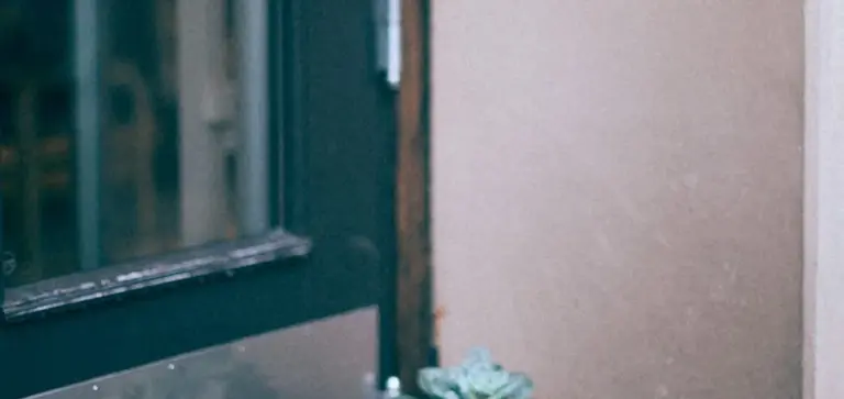 A small rosette succulent on the ground near a doorway with a dark frame and beige wall.