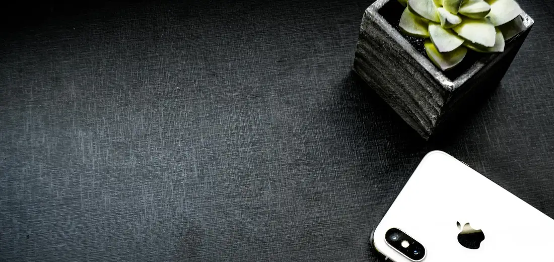 Small succulent in a square pot on a dark textured surface with a white smartphone nearby