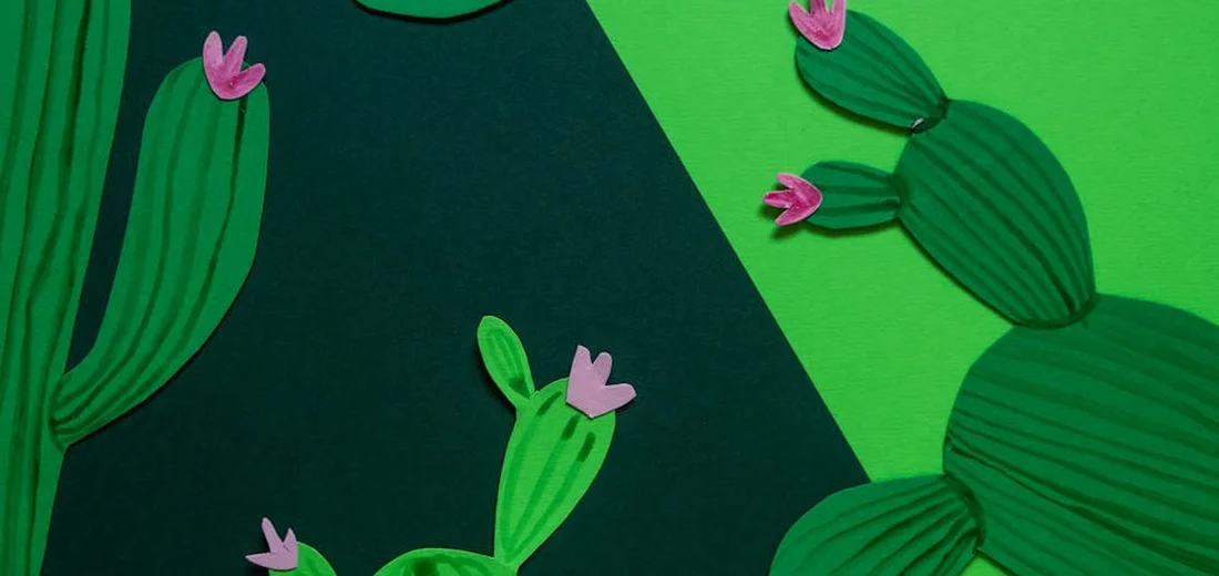 Illustration of green cactus pads with small pink flowers arranged on a geometric green and dark background.