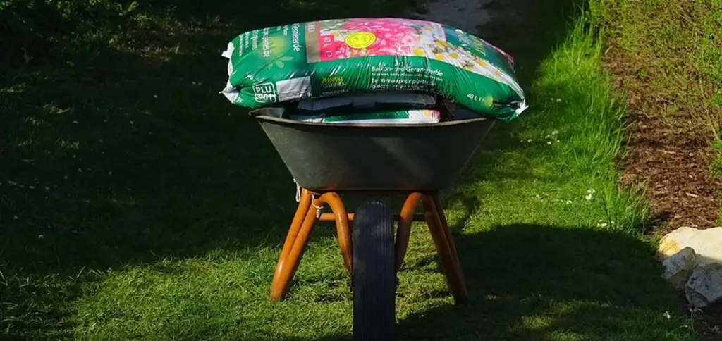 Where to Buy Quality Succulent Soil and Potting Mix
