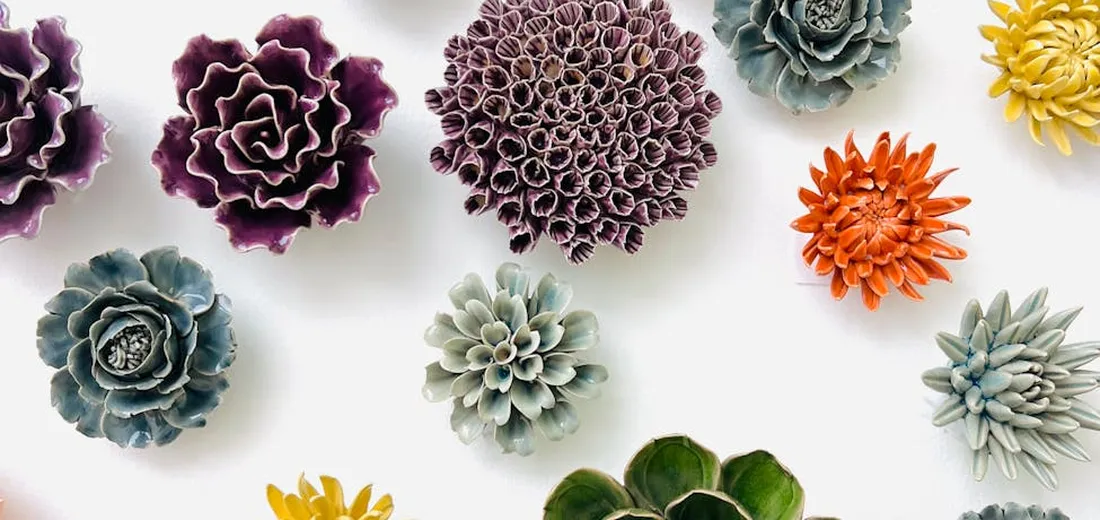 Assorted colorful succulent rosettes arranged on a white background.