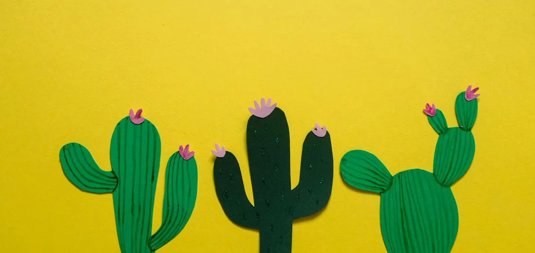 Three cartoonish green cacti with pink blossoms on a bright yellow background