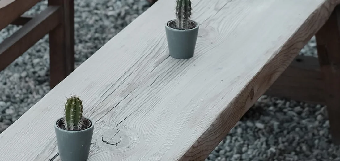 Two small cacti in gray pots sit on a weathered wooden bench outdoors, with gravel underneath.