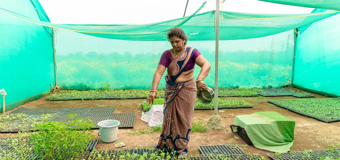 A woman in a sari tending seedlings inside a bright green shade-house, with trays of young plants and watering cans nearby.
