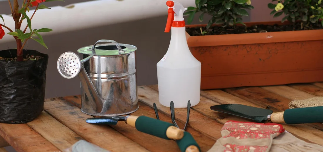 A wooden workbench with succulent pruning tools: a metal watering can, a white spray bottle, pruning shears with green handles, a small trowel, and plant pots in the background.