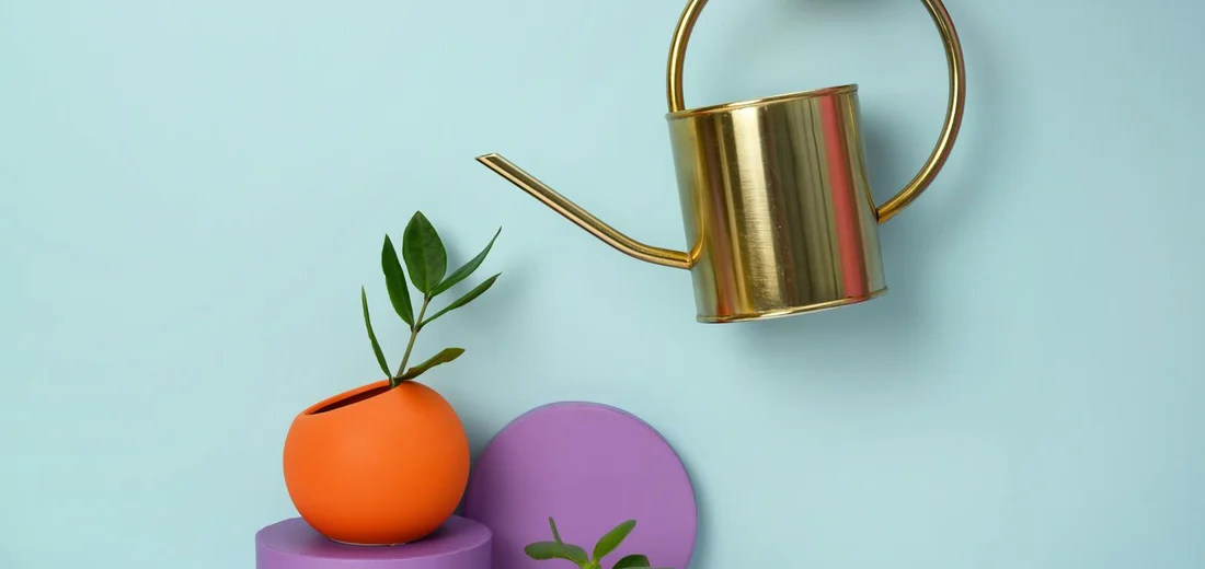A small succulent in an orange pot sits on purple blocks against a pale blue background, with a gold watering can suspended above.
