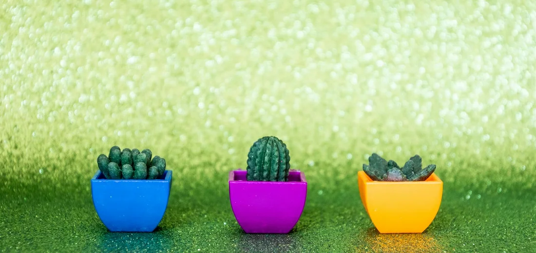 Three small succulents in blue, purple, and orange pots on a bright green background, showcasing container variety for a compact garden.