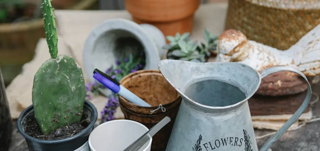 A collection of succulents in pots with a metal watering can and gardening tools, illustrating careful and controlled watering setup
