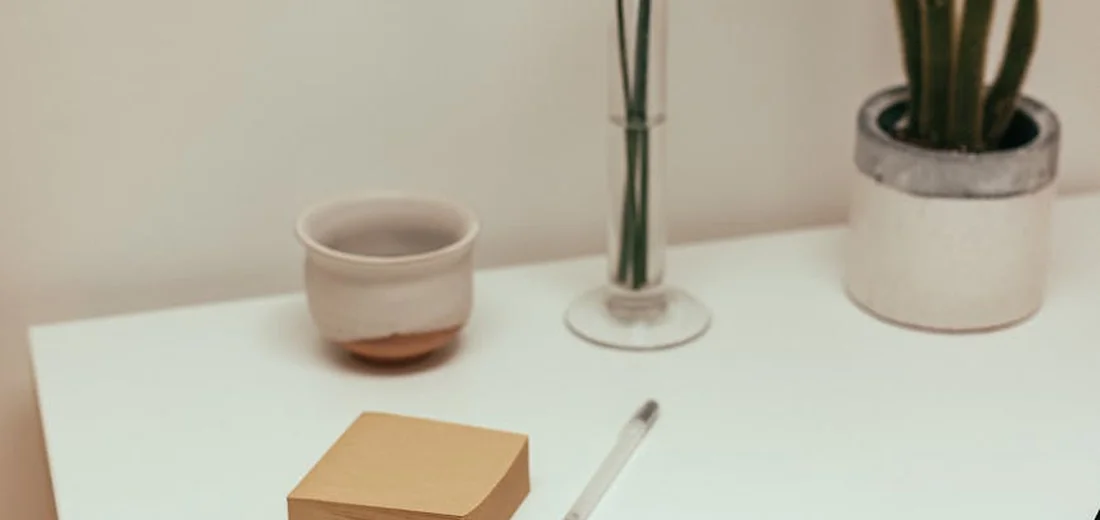 Minimalist white desk in bright natural light with a potted plant on the right and simple desk accessories, suggesting a sun-filled window corner.