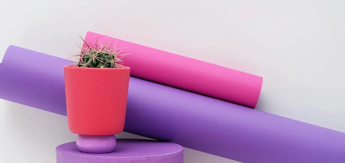 A small cactus in a pink pot sits on a purple cylindrical stand, with purple and pink rolled backgrounds.