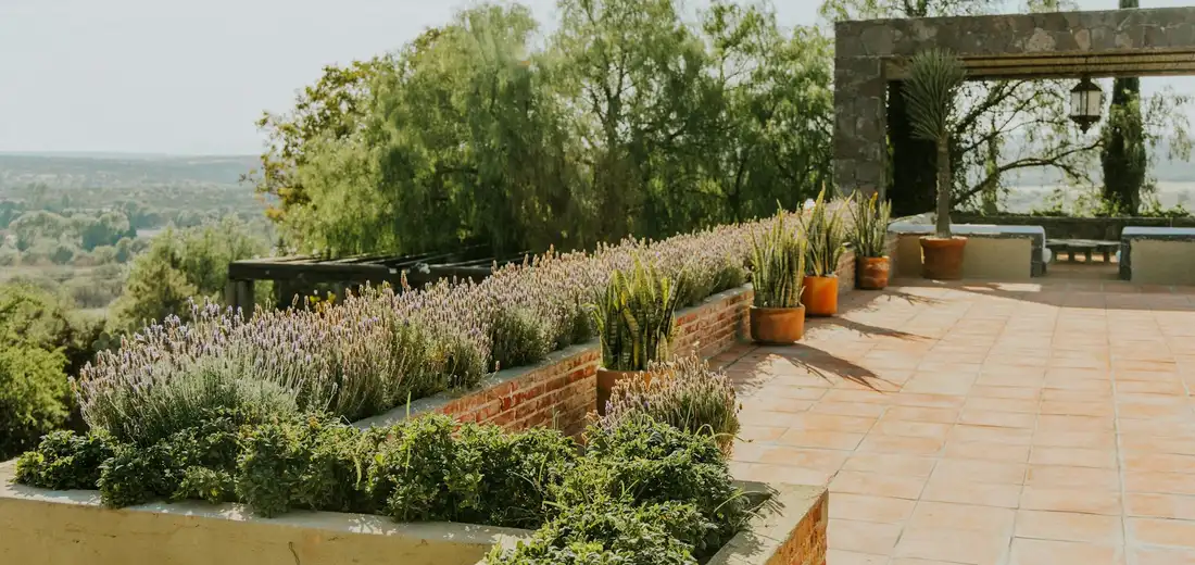 Terrace scene with rows of potted succulents along brick planters on a sunny day, with a scenic landscape in the distance.