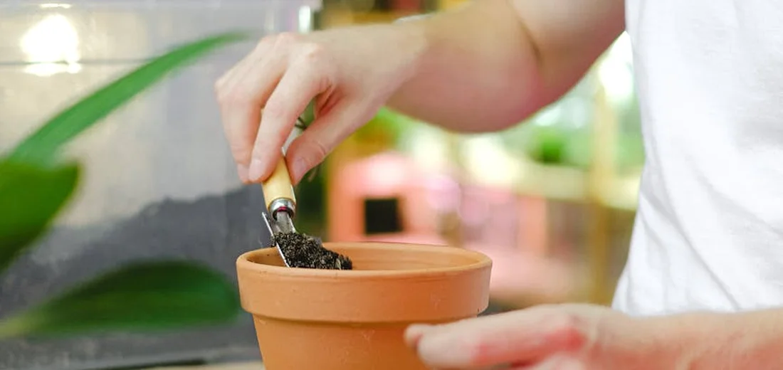 Close-up of a person adding soil to a terracotta pot with a small trowel, highlighting the porous clay.