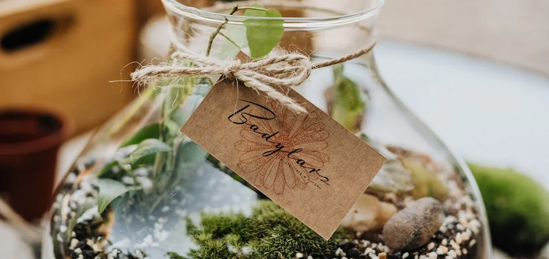 Close-up of a glass terrarium jar with moss, small plant cuttings, and a handwritten tag tied with twine