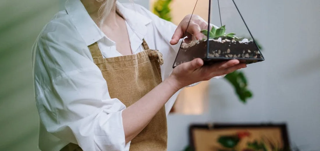 Person wearing a white shirt and brown apron holds a small hanging terrarium, gently tending to succulents inside a glass container.