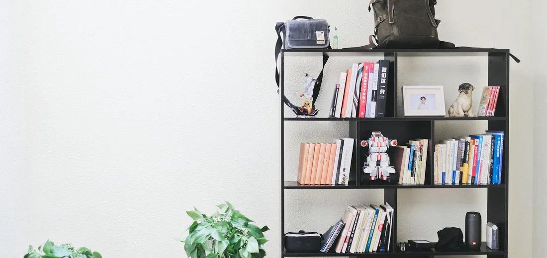 A black bookshelf against a white wall, filled with books and decorative items; two potted green plants sit on the floor to the left, illustrating a mixed plant collection in a home display.