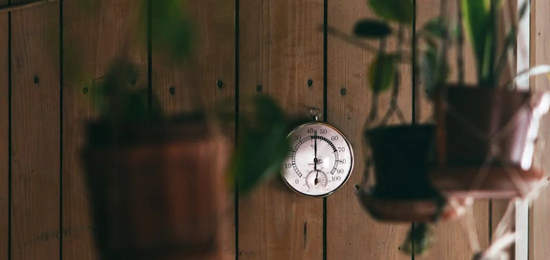 Wood-paneled wall with hanging pots and a circular dial, illustrating a setup for a vertical succulent garden.