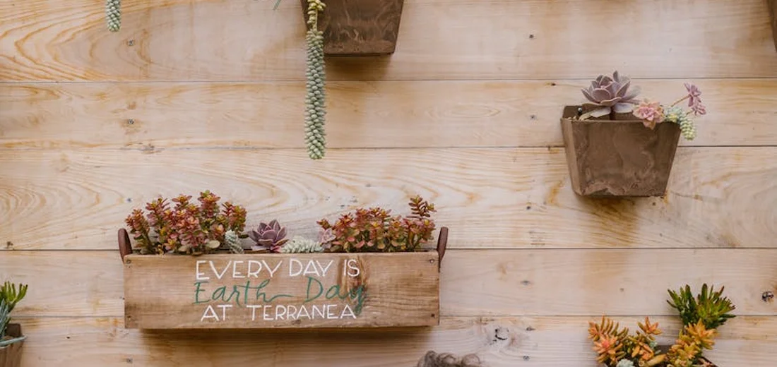 Wall-mounted wooden planters filled with various succulents displayed on a light wooden background.