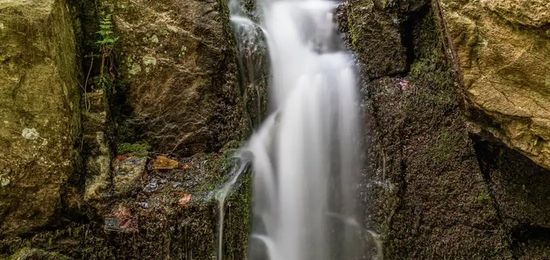 Moss-covered rocks beside a gentle cascading waterfall