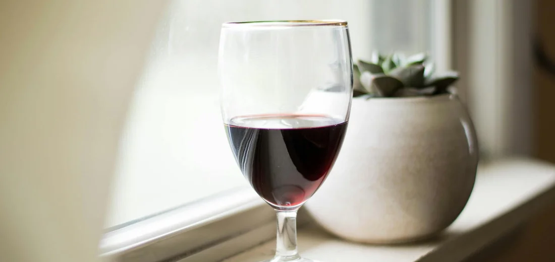 A wine glass sits on a sunlit windowsill beside a potted succulent, captured in soft natural light.