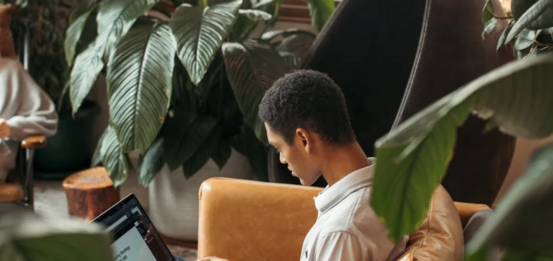A person sits indoors working on a laptop surrounded by large tropical houseplants, illustrating winter rest for a mixed indoor plant collection.