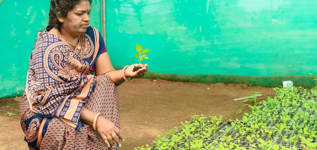 Woman in a patterned dress tending to young seedlings in a garden