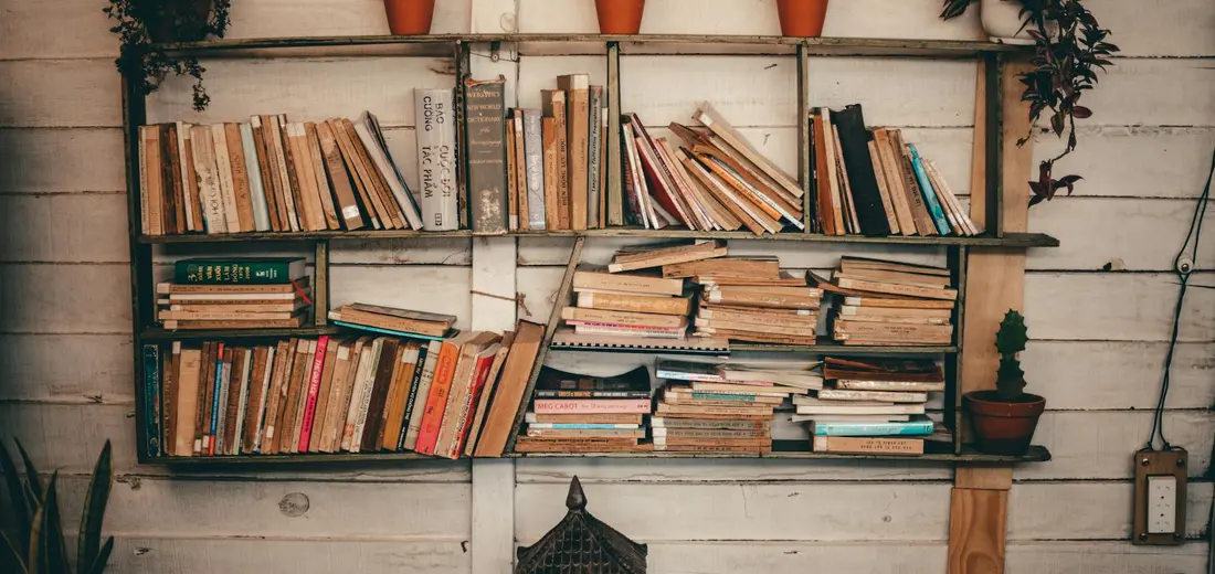 Rustic wall-mounted shelves densely packed with books, with a few small potted plants on top.