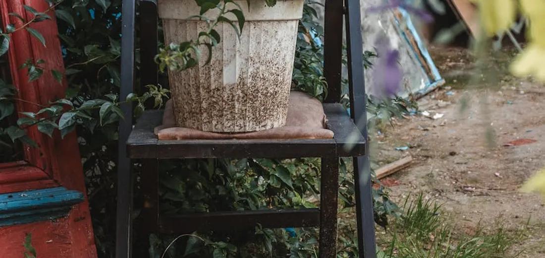 A potted plant on a small black metal stand outdoors with a textured beige pot against a garden backdrop.