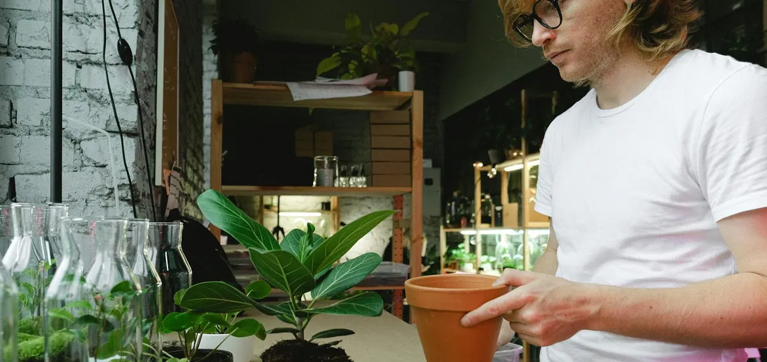 A person in a white t-shirt pots a ZZ plant in a plant shop, with glass vases and other greenery in the background.